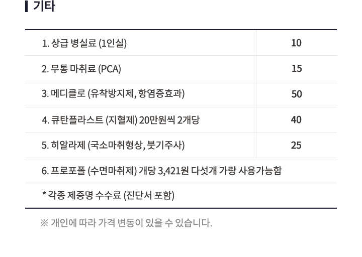 비급여안내 기타