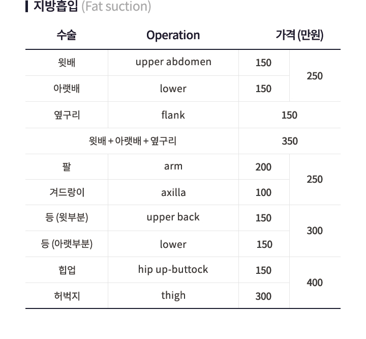 비급여안내 지방흡입